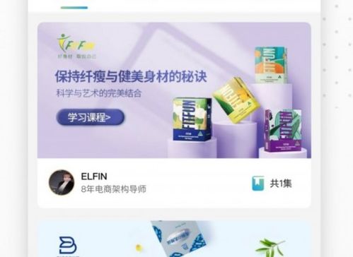 森蜜品牌營銷學習 運營管理與招商系統的深化與實踐